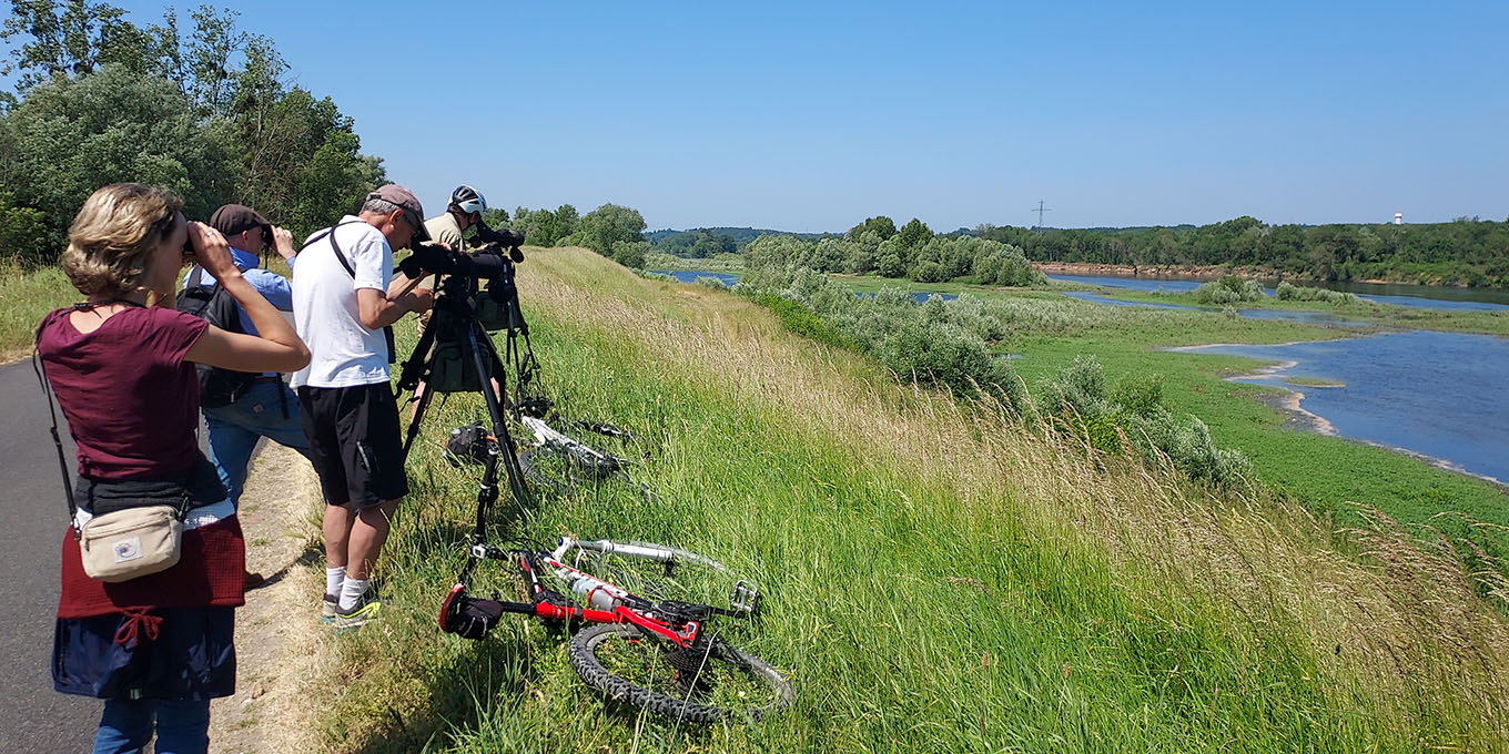 groupe en observation, dont deux personnes portant des gilets "LPO"